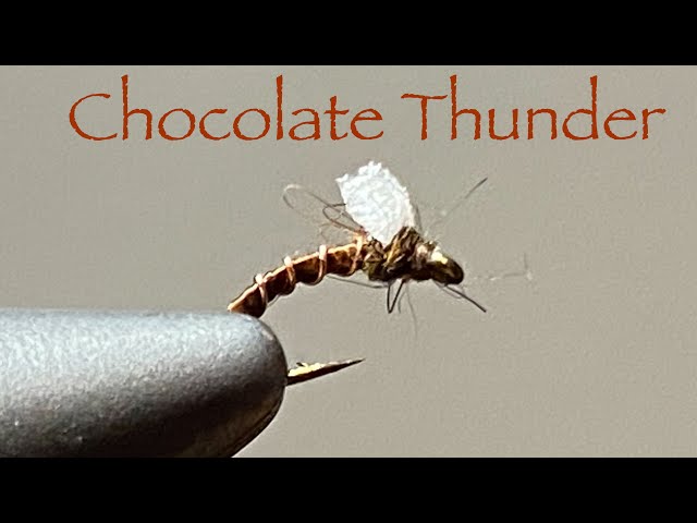 Foam Back Emerger (Chocolate Thunder)