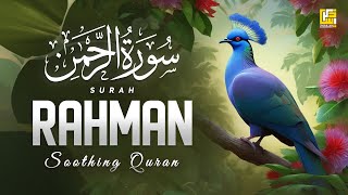 Beautiful Quran Recitation in the World 2024 | Surah Ar-Rahman سورة الرحمن | Zikrullah TV