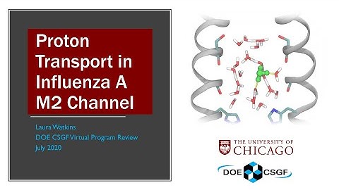 DOE CSGF 2020: Multiscale Reactive Molecular Dynamics Applied to Influenza A M2 Reveals Critical...