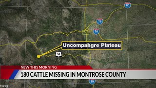 180 heard of cattle disappear from southwest Colorado