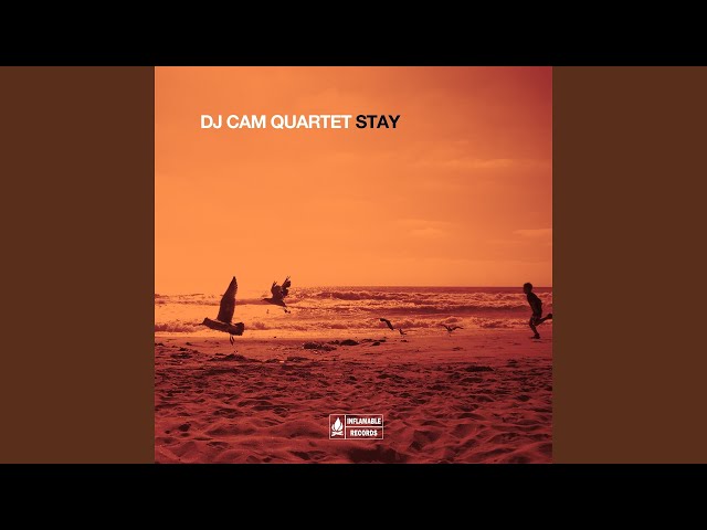 Dj Cam Quartet - Midnight Sun