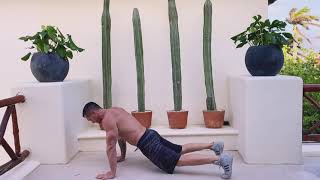 No Pushup Burpee or Sprawl