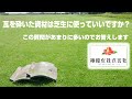 【芝生に瓦】未処理の資材を使うリスクとは⁉病気、雑草繁茂、コケ、生育障害、土壌の固結、解説します!