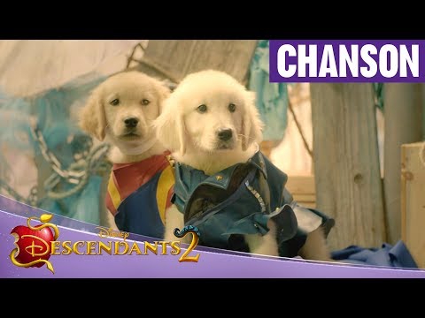 Descendants 2 - Dogscendants : It's going down
