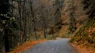 Akifin Ağıtı - Elif Özer