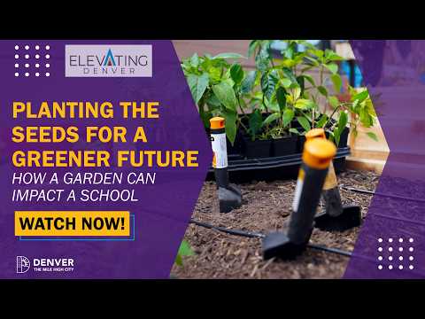 Planting the Seeds for a Greener Future