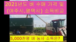 여주시와  평택시 2021년도 벼 수매가격 비교(벼 5,000천평  수익은 얼마)