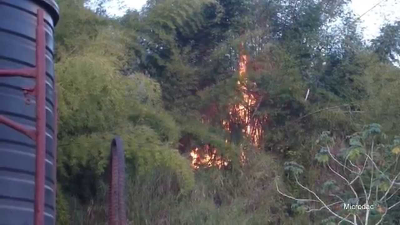 Bamboo burning YouTube