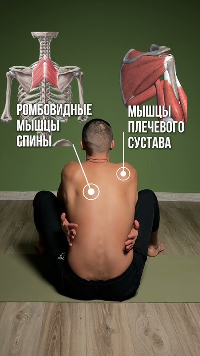 Как растянуть плечи и лопатки? Если болит лопатка, делай это упражнение ...