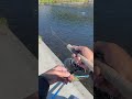 Japan Fishing ASMR - Trout Fight#6🎣