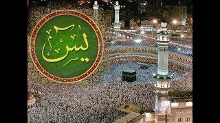 SURAH YASIN.beautifull sencry.MASHA ALLAH