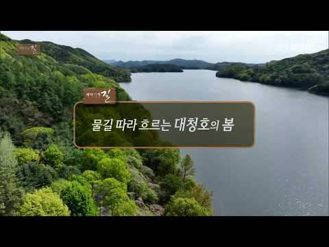 물길 따라 흐르는 대청호의 봄