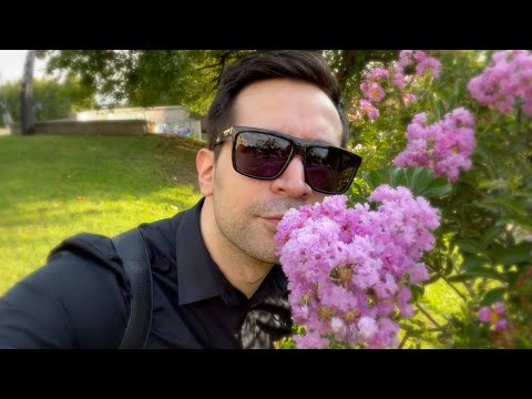 პირველი სტრიმი ახალ არხზე! | ფილმები | ნიკო სვანიძე