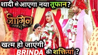 Big TWIST Naagin 4 : Brinda and Dev to marry in the show