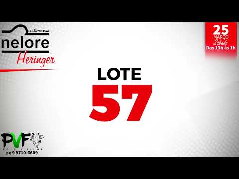 LOTE 57