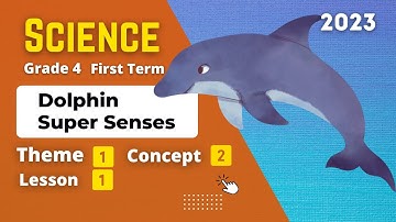 Grade 4 | Science | Unit 1 - Concept 2 - Lesson 1 | Dolphin Super Senses