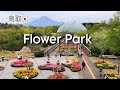 🇯🇵 とっとり花回廊Tottori hanakairo-Flower park/Gie JapanTv 