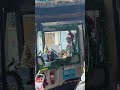 Randwick Christmas Bus