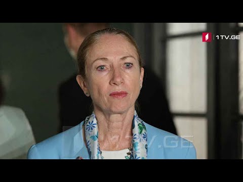 ამერიკის ელჩის კომენტარი