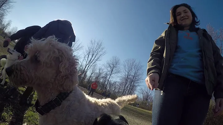 Carolyn Ludwig Mugrage Dog Park