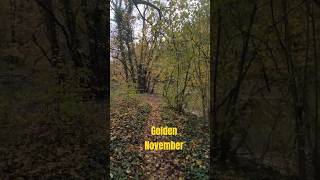 Moody November Grillscher Altarm Nidda Frankfurt