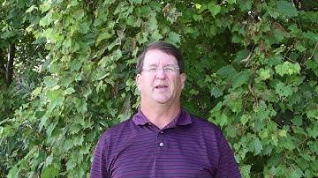 Parent Material Soil Forming Factor