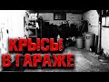 Страшная история на ночь | КРЫСЫ В ГАРАЖЕ | Черный Рик