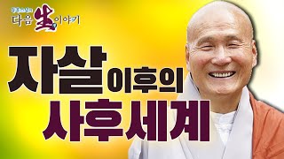 자살 이후 어디로 가게 될까? 우울증과 자살 - 동훈스님 다음 생 이야기 72화