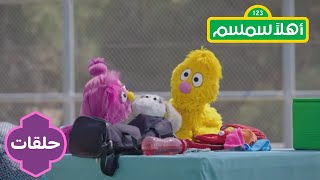 Ahlan Simsim season 2: Jad's Lucky Bandana | أهلاً سمسم الموسم الثاني: جاد وربطة الحظ