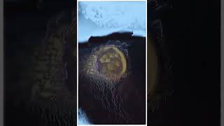 Celebrity Feedback magic in TouchDesigner 🌈✨ Profile