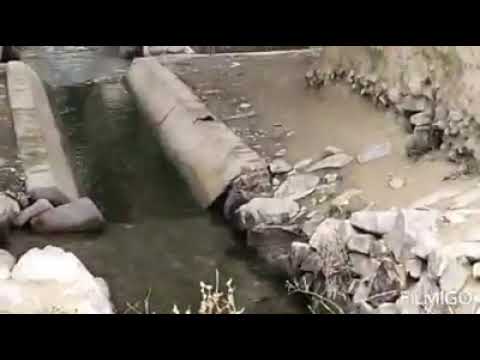 توت مسےزئی سالوں کاریز کا خوبصورت مناظر 