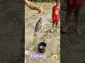 Serok ikan hias warna-warni, ikan koi, ikan mas koki lucu, ikan komet ,ikan gurami, kura-kura brazil