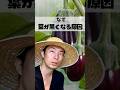 ナスの葉が黒くなったらすぐ追肥するのは間違いです|原因3つと正しい対処法 #家庭菜園 #家庭菜園初心者 #夏野菜栽培