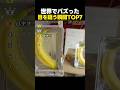 世界が騙された目を疑う瞬間TOP7