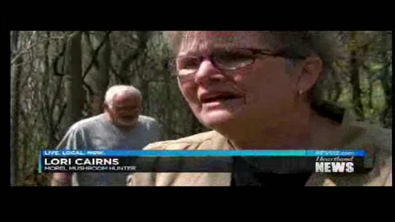 Morels in Southern Illinois YouTube