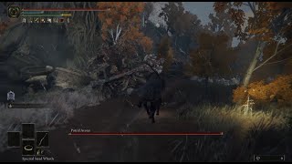 Elden Ring Putrid Avatar Boss Fight