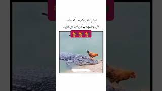 httpsyoutubezrvo0 ltf7csicyutccm3r7c3ildg