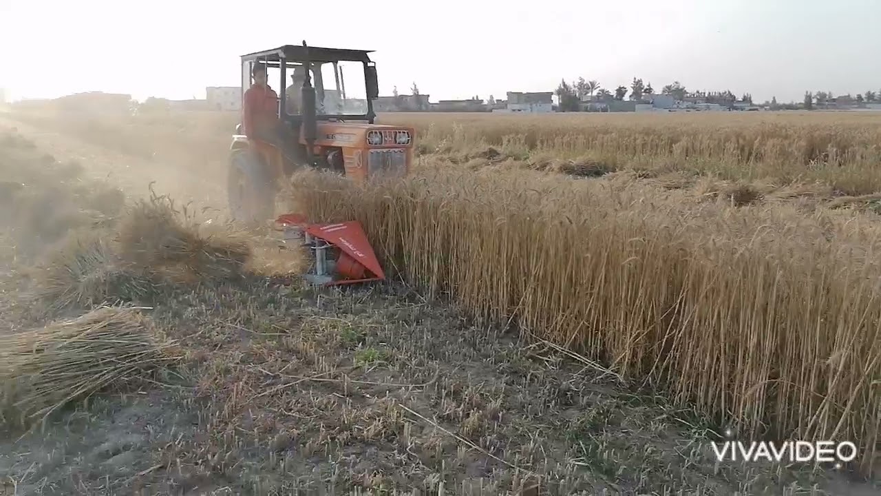 جهاز ضم وتربيط للقمح تصنيع شركة جنه للالات الزراعيه للتواصل 01005476100