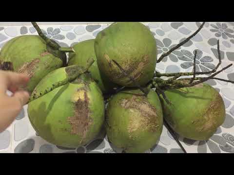 Video 03 cách bảo quản dừa tươi/nước dừa tươi dùng dần rất... - youtube