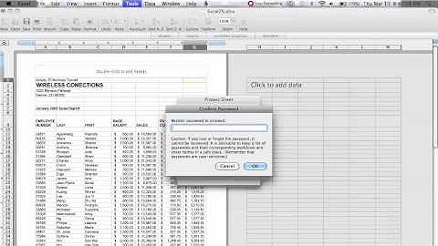 How to Protect a Sheet in Excel 2008