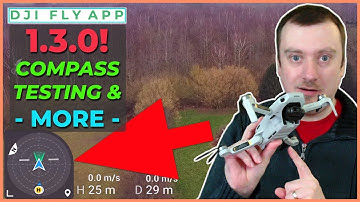DJI Mini 2 Update to Fly App 1.3.0! Compass & Quick Transfers Test for iOS!