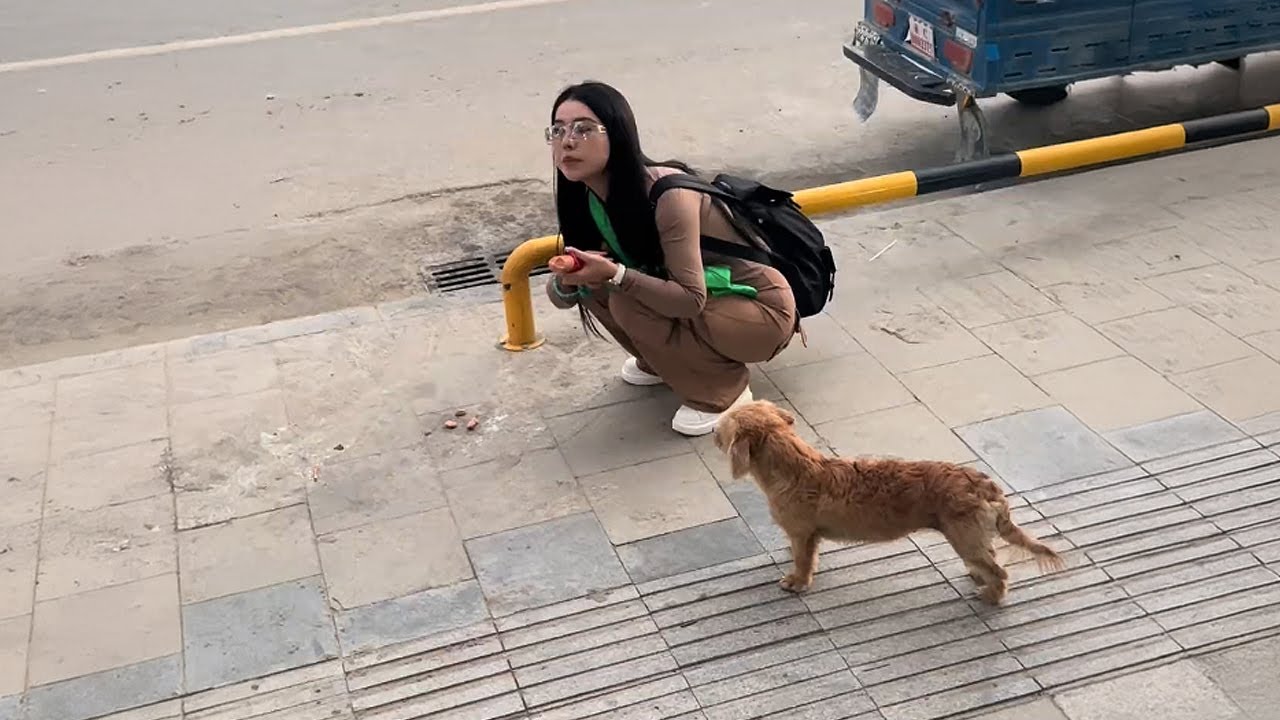 Я здесь просто турист, почему ты ходишь за мной?