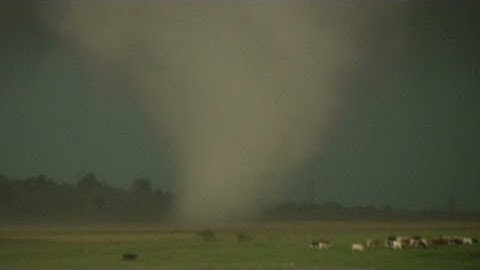 RAW: See tornado touch down in El Reno, Oklahoma