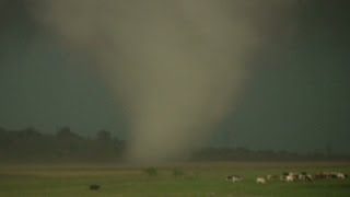 RAW: See tornado touch down in El Reno, Oklahoma