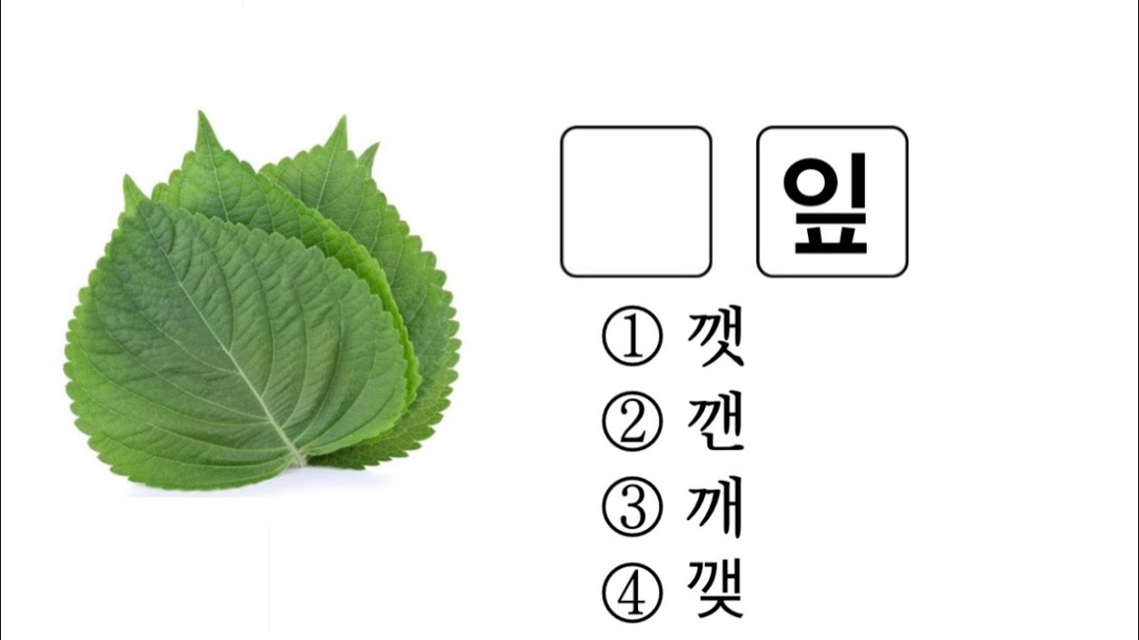 Question answer | 10 questions and answers part 42