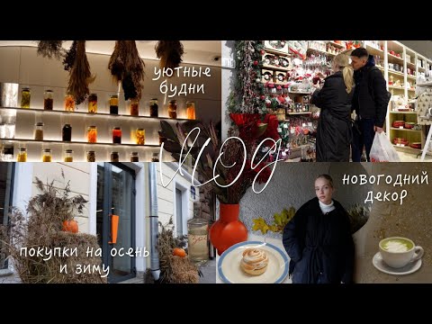 Новогодний шоппинг в Kuchenland и мои покупки на зиму с Lamoda | ВЛОГ
