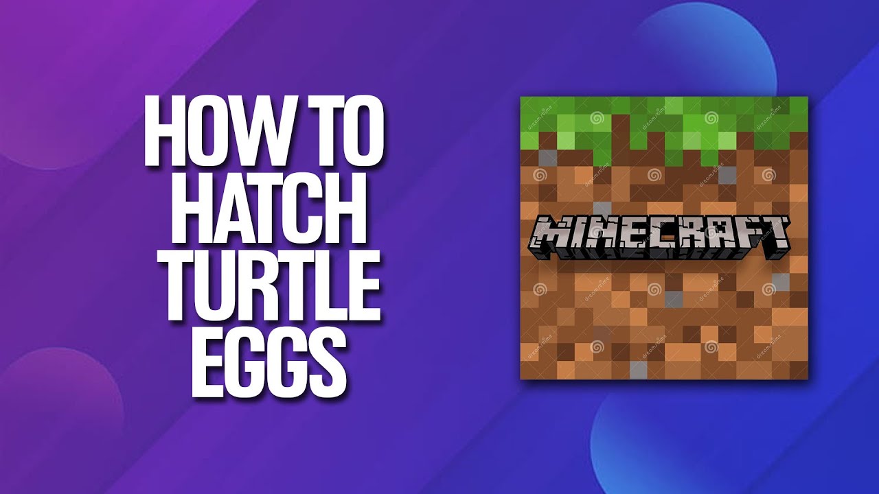 How To Hatch Turtle Eggs In Minecraft Tutorial Youtube