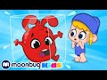 Frozen Morphle | Cute Cartoons for Kids | Nursery Rhymes | Moonbug Kids