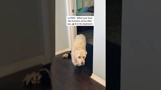 Knowing When To Hide When the Parents Get Home  @TheJessiiShow #TheManniiShow.com/series