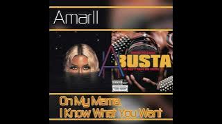 Victoria Monet x Busta Rhymes ~On My Mama, I Know What You Want (AmarII Mashup)